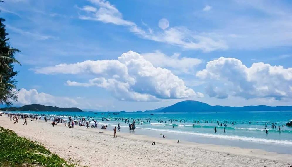 Tra Co Mong Cai Beach Travel Guide