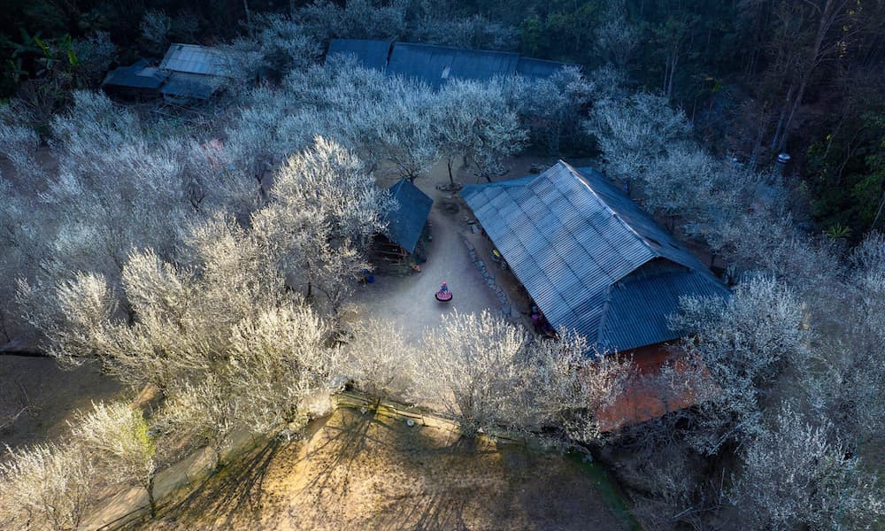 Bac Ha-Lao Cai