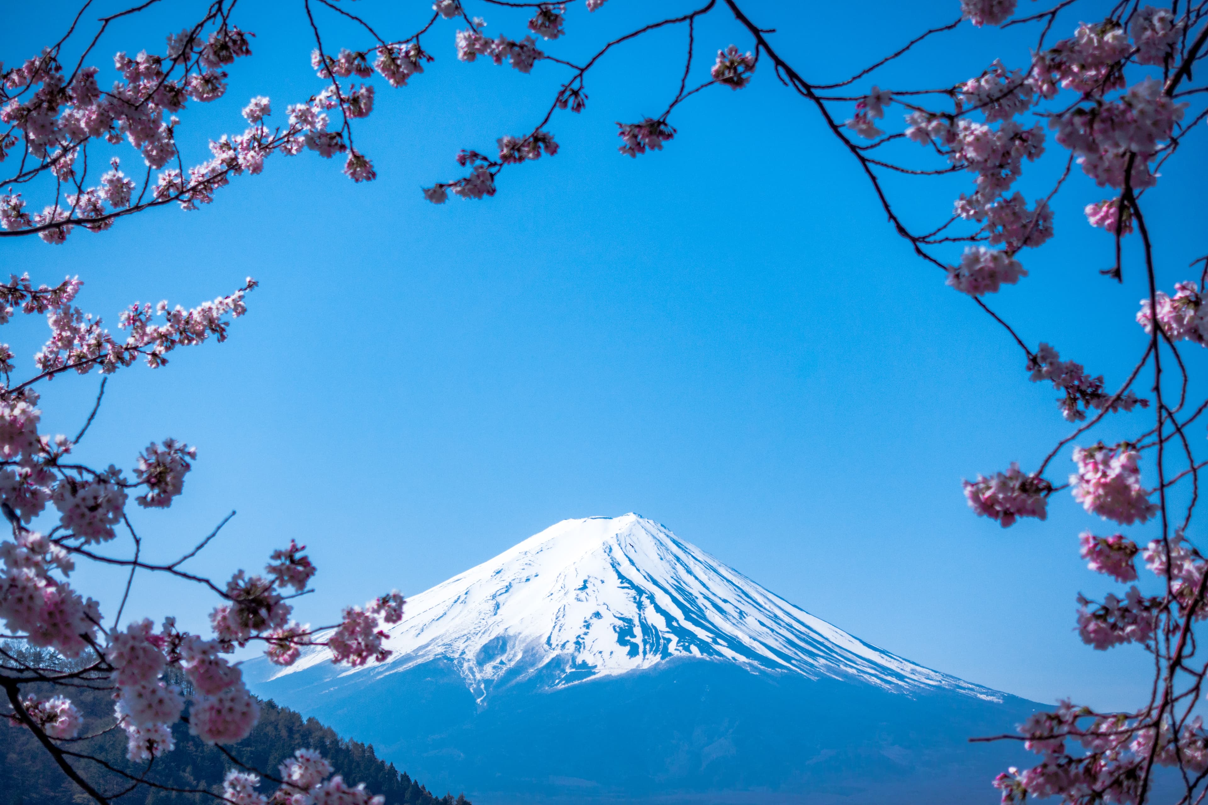 Fuji mountain