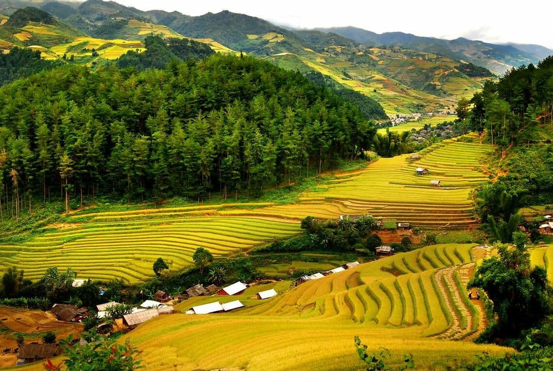 Mai Chau