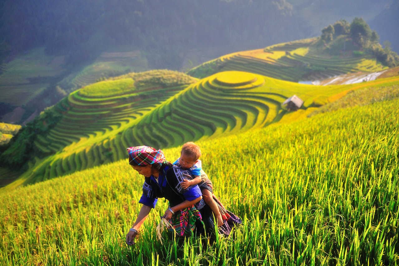 Mu Cang Chai-Vietnam