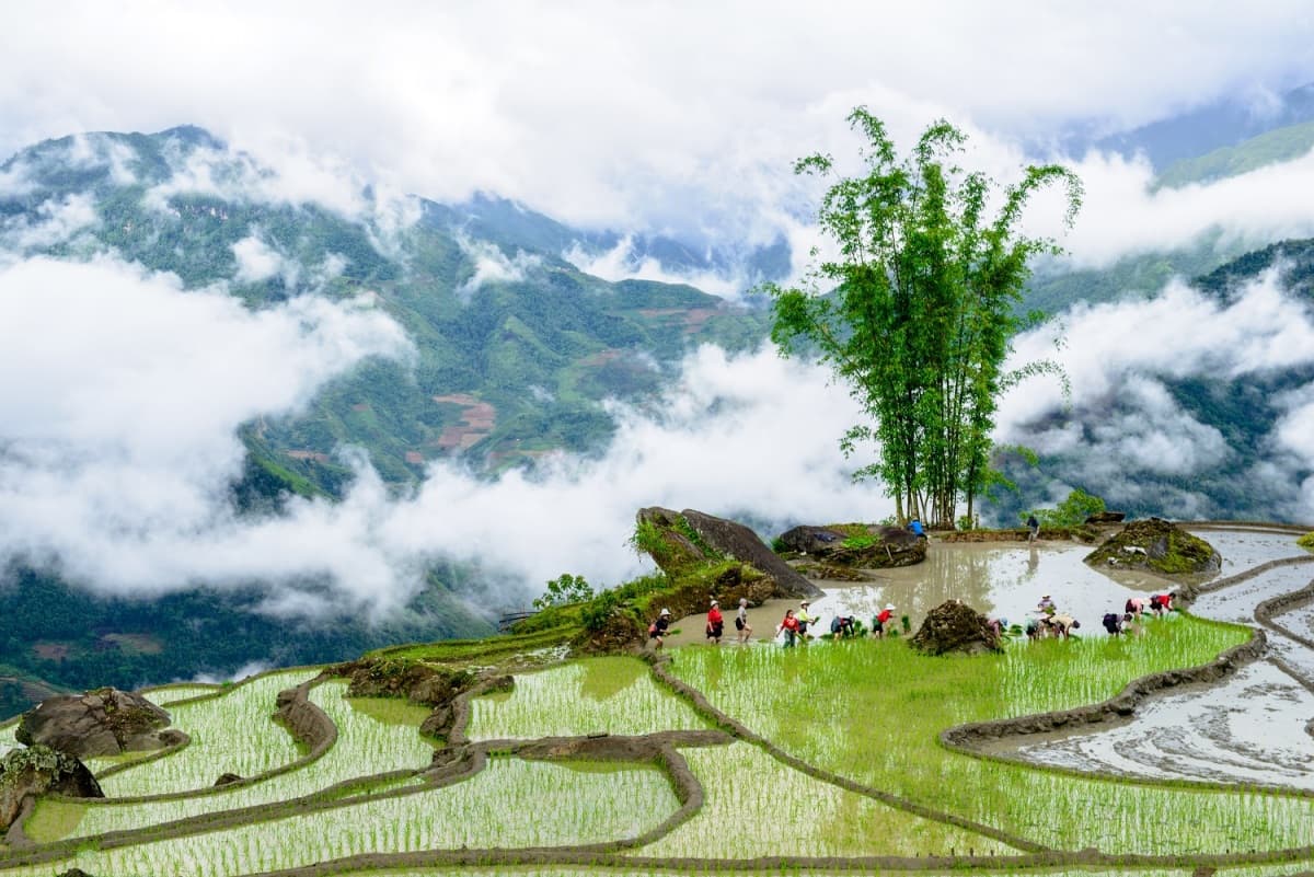 The Ultimate DIY Travel Guide to  Y Ty, Lao cai