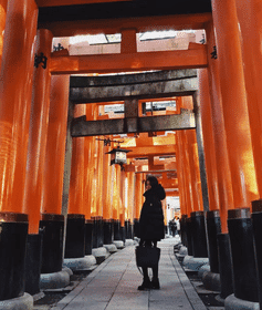 8-Day Ultimate Japan Experience | Starts in Tokyo to Osaka