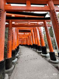 10-Day Japan Inspiration Journey: Tokyo, Kawagoe, Mt. Fuji, Nara, Kyoto & Osaka