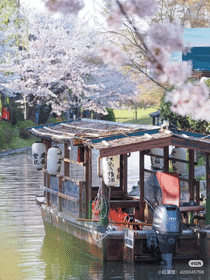 A Day in Kyoto:  Immerse in Timeless Elegance (Osaka Departure)