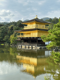 A Day in Kyoto:  Immerse in Timeless Elegance (Osaka Departure)