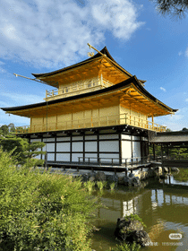 A Day in Kyoto:  Immerse in Timeless Elegance (Osaka Departure)