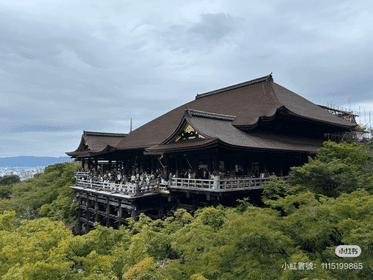 A Day in Kyoto:  Immerse in Timeless Elegance (Osaka Departure)