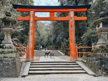 A Day in Nara | Discover Japan's Ancient Charm | Starts in Osaka