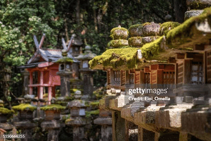 Nara Day Trip : A Journey Through History and Nature