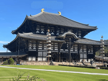 A Day in Nara | Discover Japan's Ancient Charm | Starts in Osaka