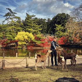 Nara Day Trip : A Journey Through History and Nature