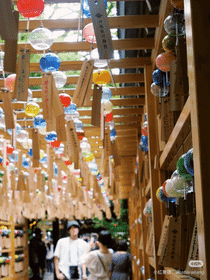 6-Day Kanto Exploration: Tokyo, Kawagoe, Mount Fuji