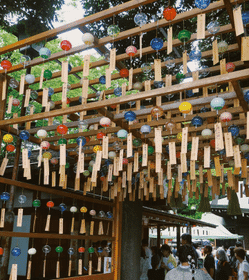 4-Day Cultural Escape to Koedo, Japan
